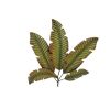 Palm Leaf Hanging Metal Wall Art Decor, Green and Brown