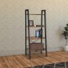 DunaWest Four Tiered Rustic Wooden Ladder Shelf with Iron Framework, Brown and Black